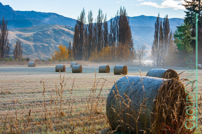 Frosty Morning. Queenstown