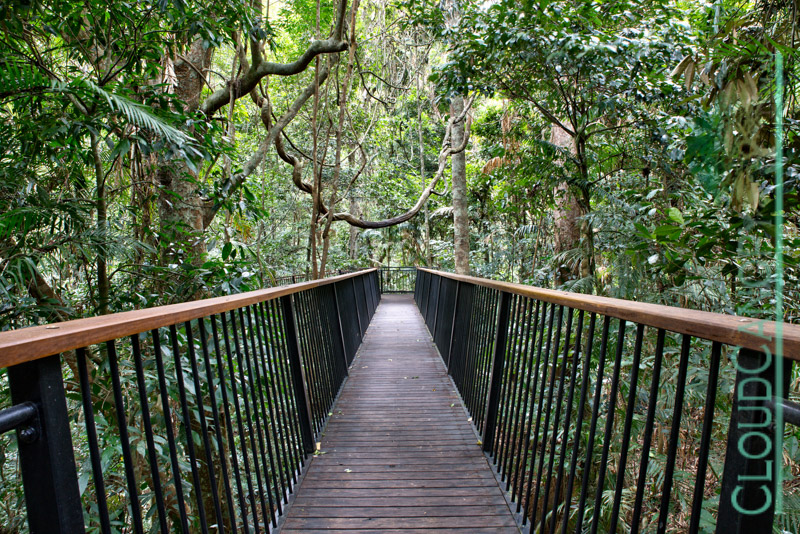 Barron Falls walkway