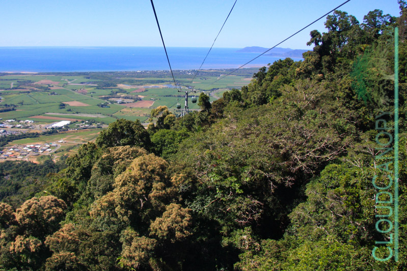 Cairns from the Skyrail