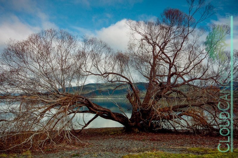 Lake Te Anau