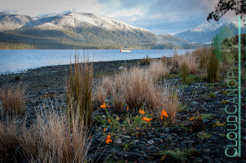 Lake Te Anau