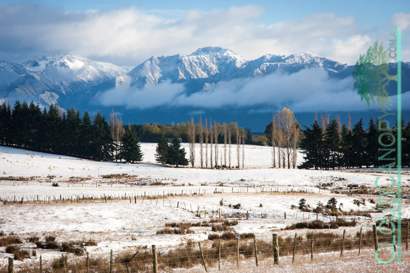 First Snow of Winter