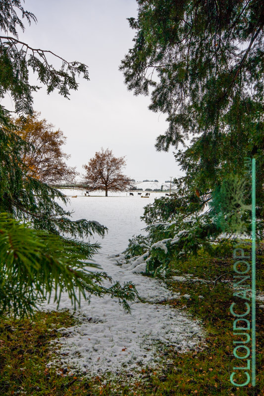 Autumn Colours, The Key