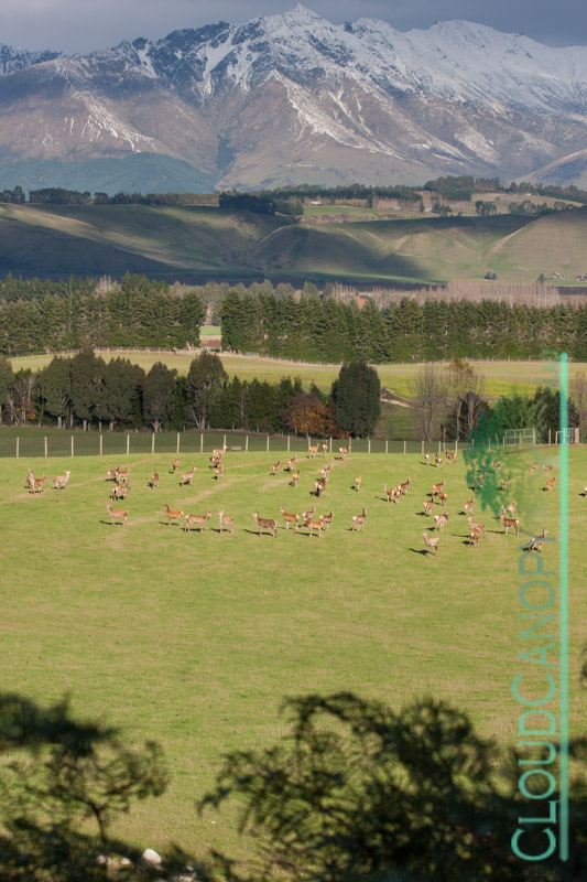 Deer Farm, Ramparts Road