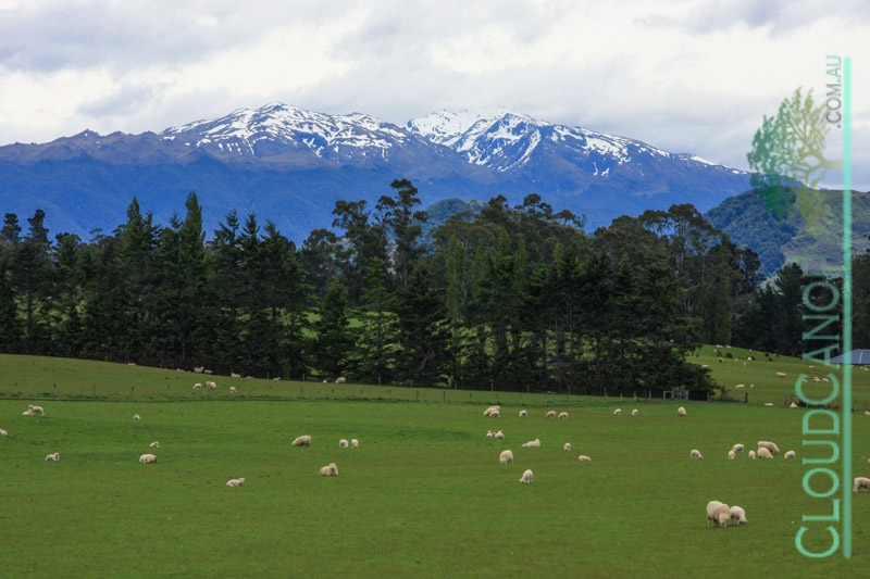 Blackmount, McLees Road