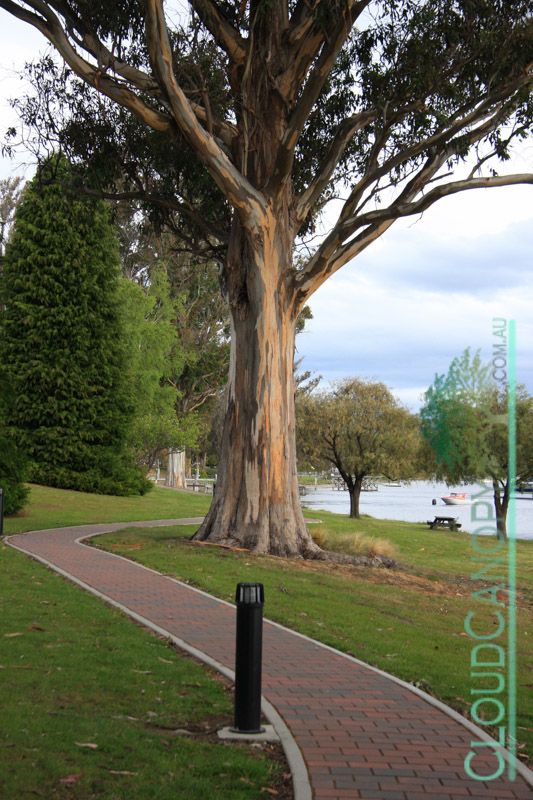 Lakeside Park, Te Anau