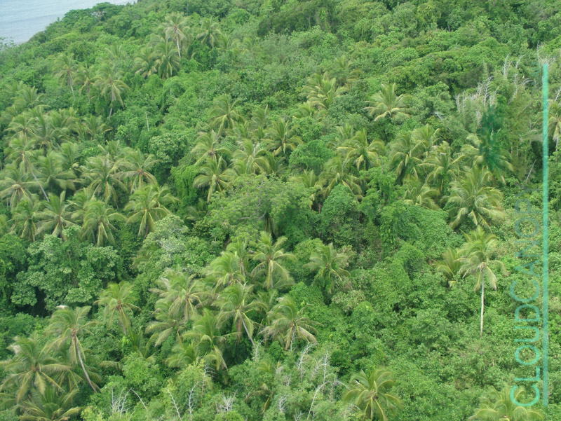 Murray Island