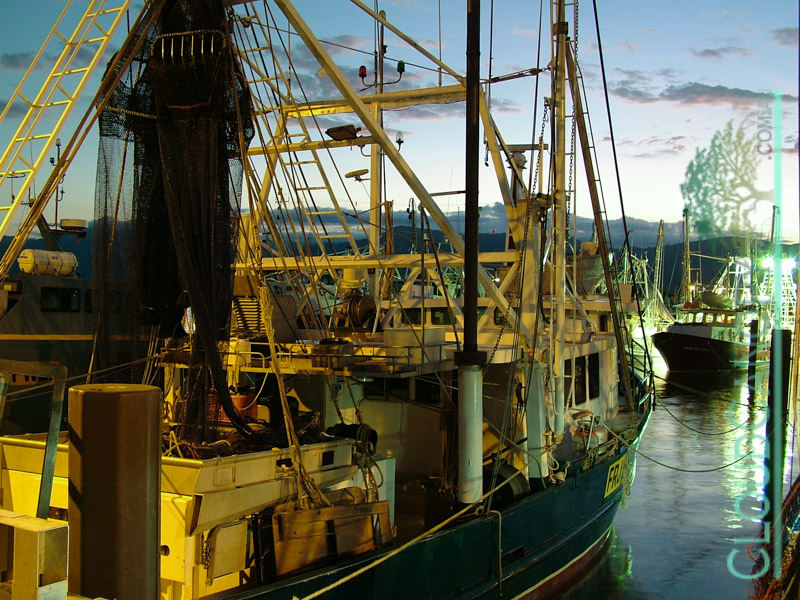 Trawler Base at Night
