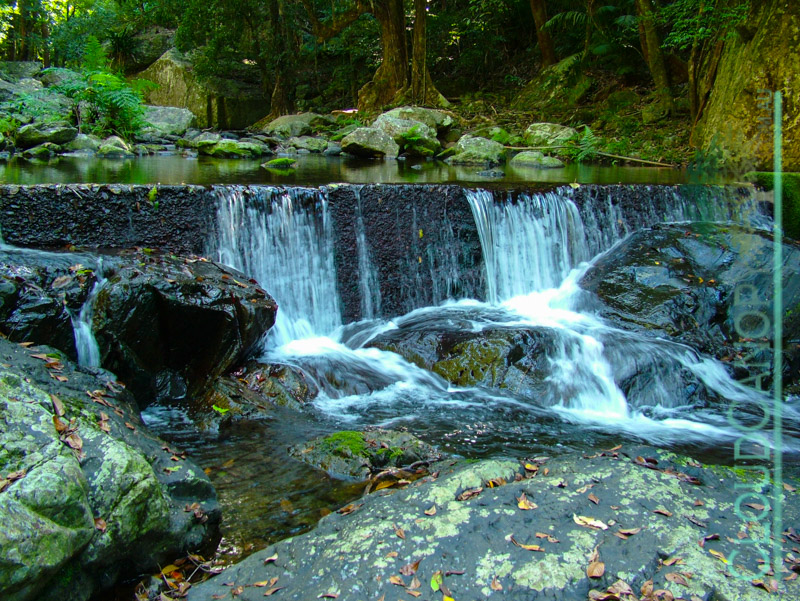 Stoney Creek