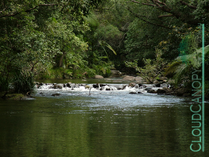 Shannonvale Creek