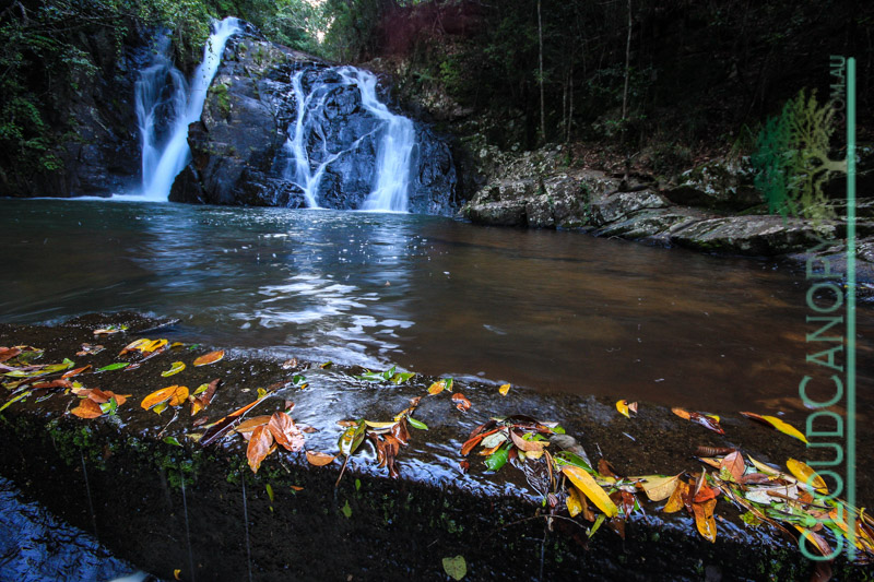 Dinner Falls, Barron River