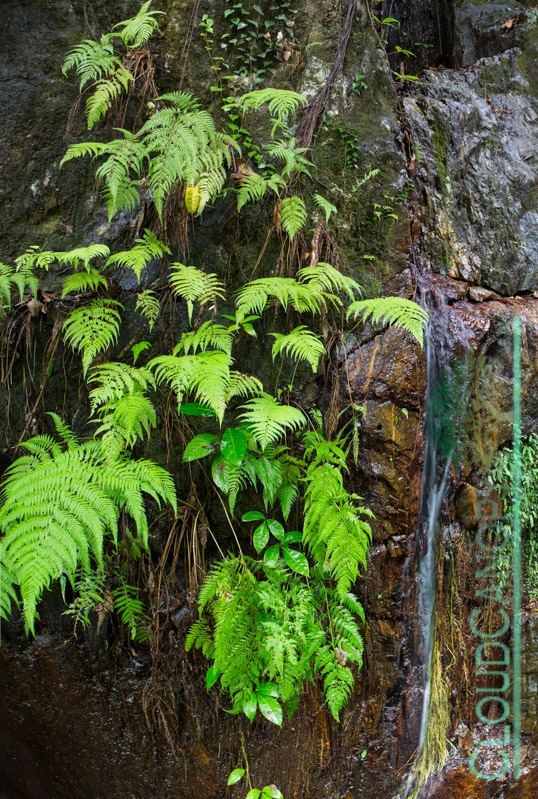 Crystal Cascades
