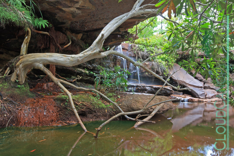 Isabella Falls, Cape York