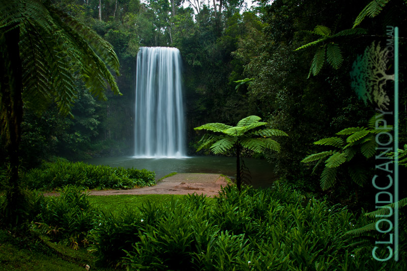Millaa Millaa Falls