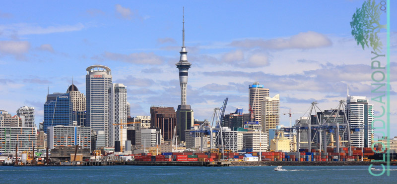 Auckland City