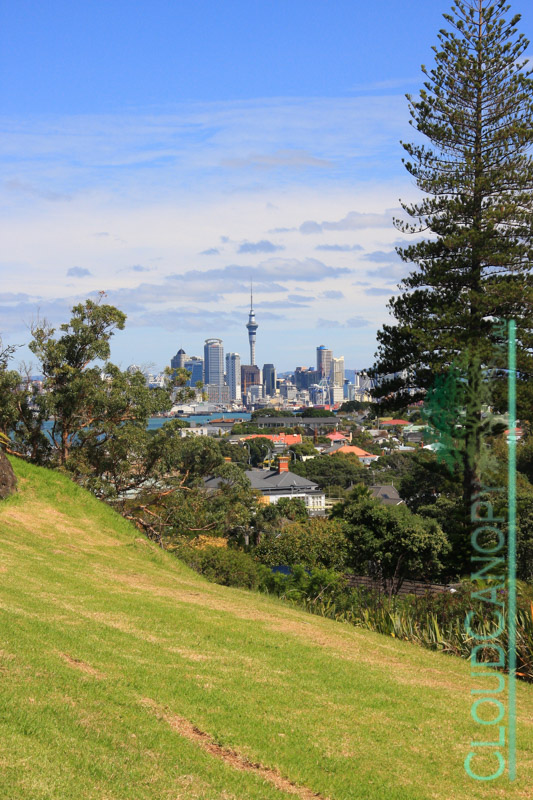 Auckland City