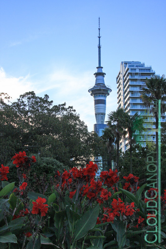 City from Albert Park