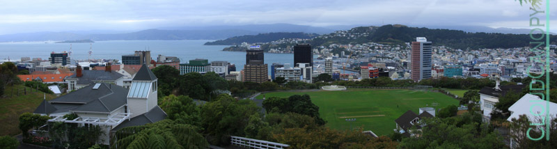 Panorama, Wellington City