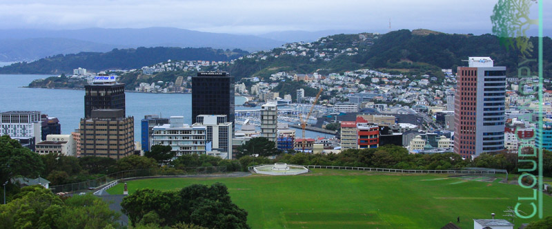 Wellington City from the Botanical Gardens