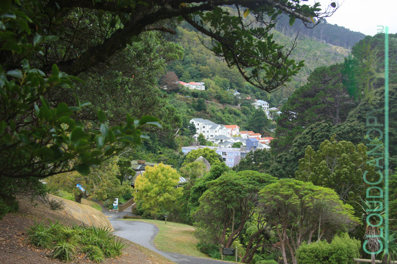 Wellington Botanical Gardens