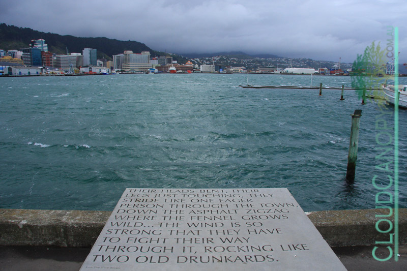 Windy Wellington
