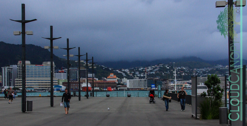 Wellington Harbour