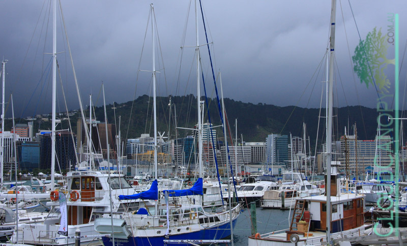 Chaffers Marina, Wellington