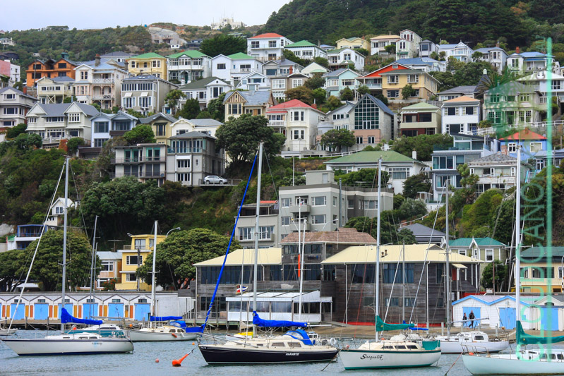 Oriental Bay, Wellington