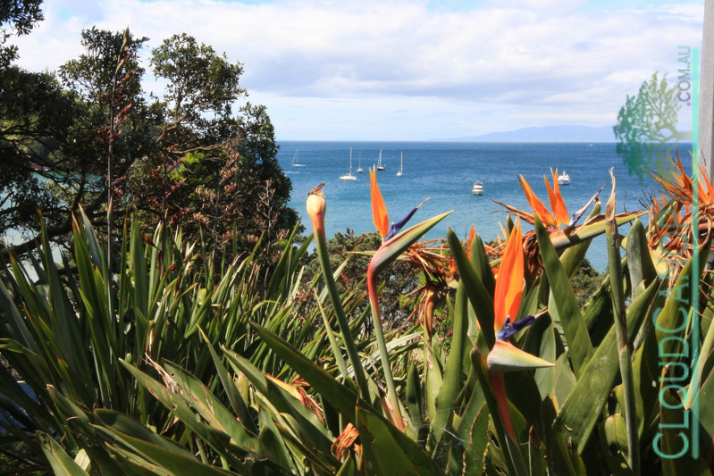 Waiheke Island