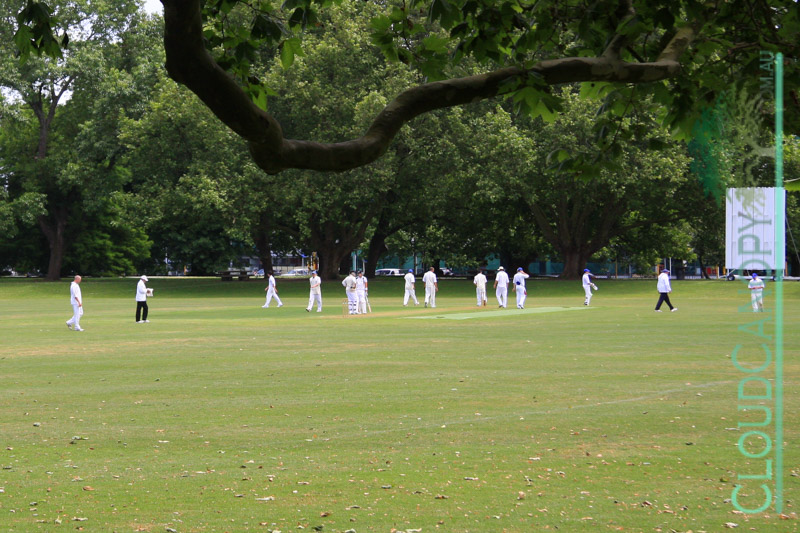 Cricket Match, Victoria Park